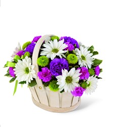 Springtime Delights<br><b>FREE DELIVERY from Flowers All Over.com 